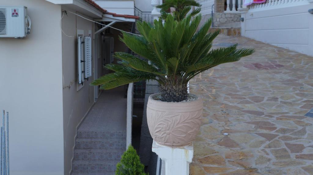 Corali Beach Tsilivi  Luaran gambar